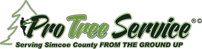 Pro Tree Service Logo